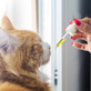 Pet Medications Icon
