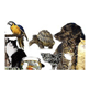 Sharps Pet World logo