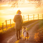 Dog taking an owner for a walk