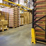 A Conveyor Belt in a Pet Wholesaler's Warehouse