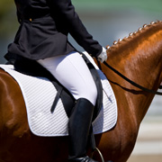 Dressage rider