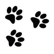 Paws To Shop Logo