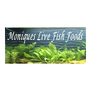 Moniques Live Fish Foods Logo