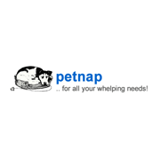 Petnap Logo