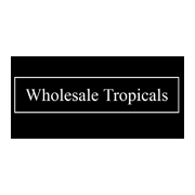 Wholesale Tropicals Logo