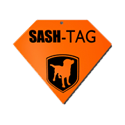 Sash-Tag Logo