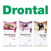 Drontal Logo